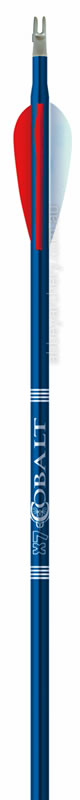 Easton X7 Eclipse Blue Arrow dozen image